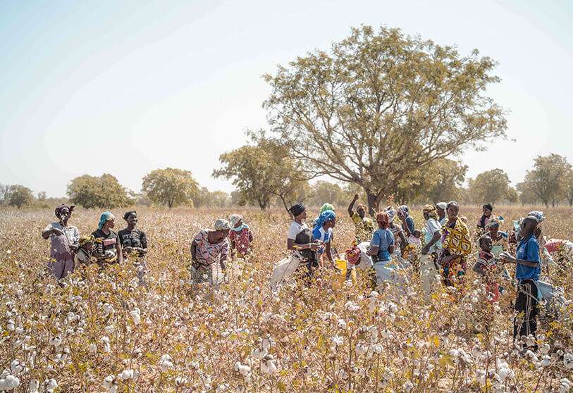 economia-mujeres-africa