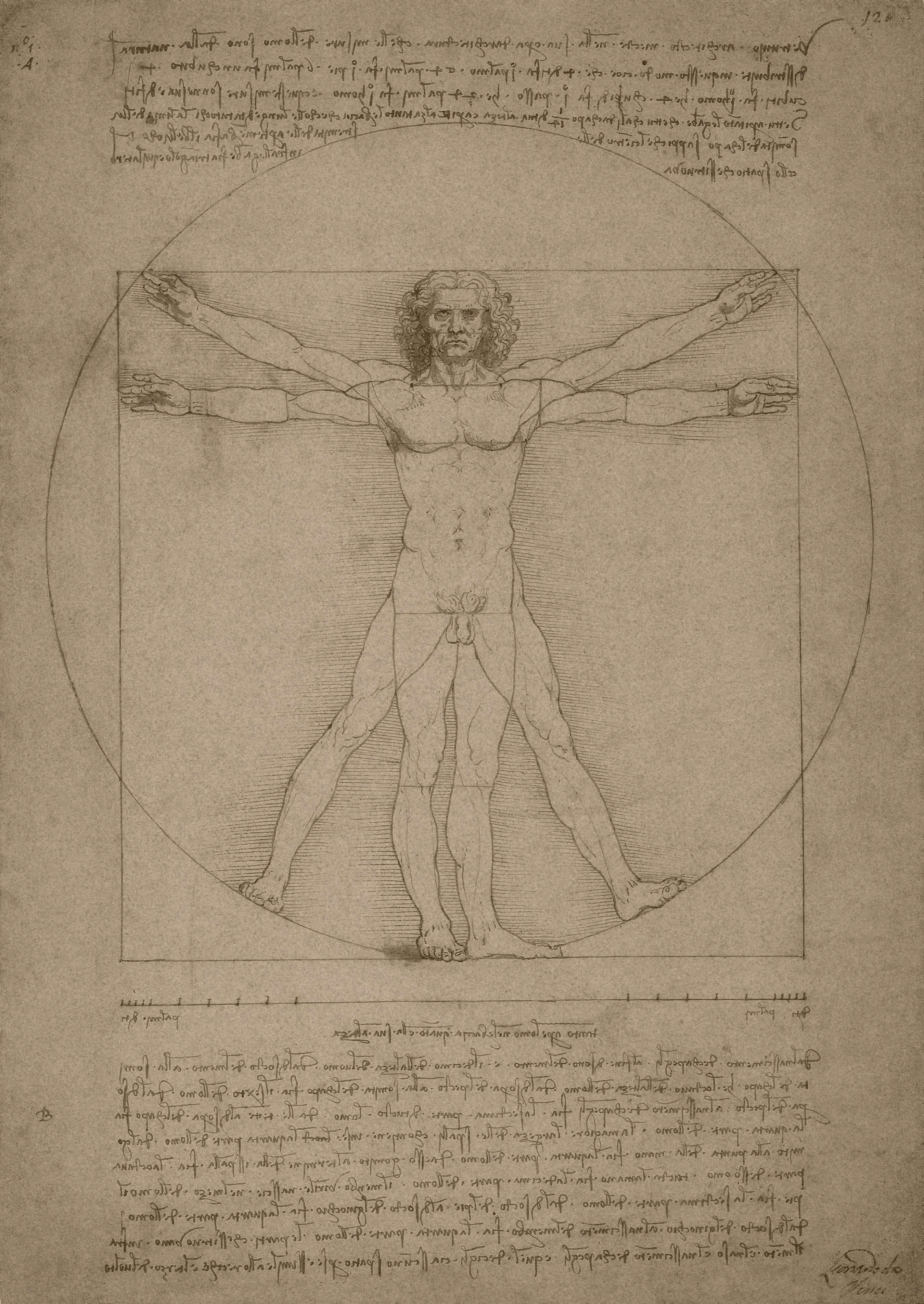 Hombre de Vitruvio