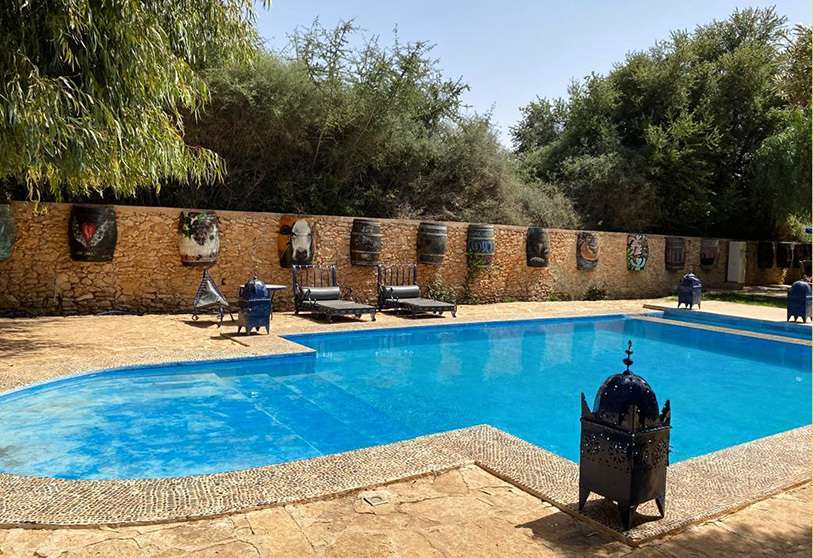 essaouira-viñedo