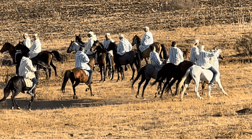 festival-mata-caballos-larache-marruecos