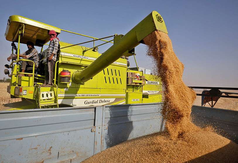REUTERS/AMIT DAVE - Una cosechadora deposita el trigo cosechado en el carro de un tractor