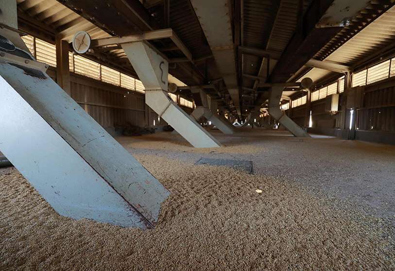 Una imagen muestra las reducidas existencias de grano en los silos de la ciudad nororiental siria de Hasakeh, el 19 de septiembre de 2021