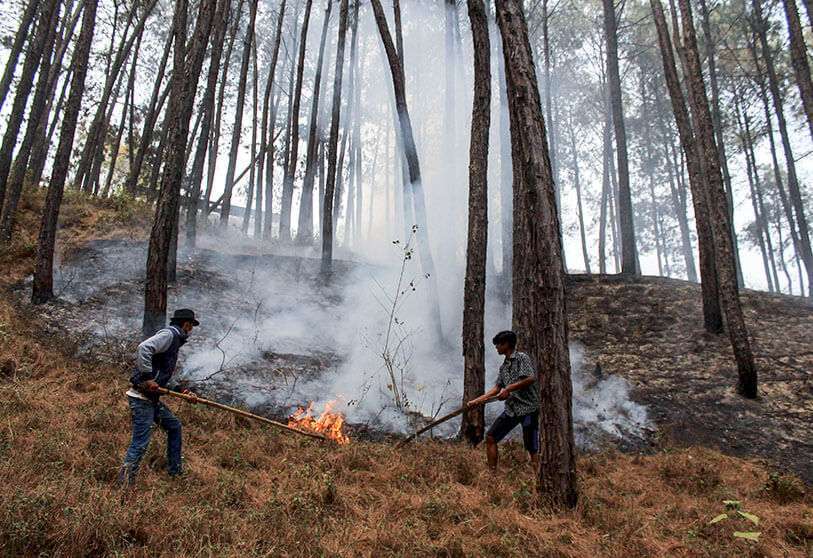  incendios-turquía-falta-recursos