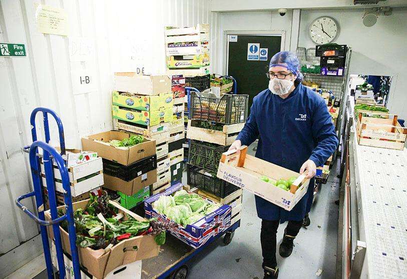 industria-alimentos