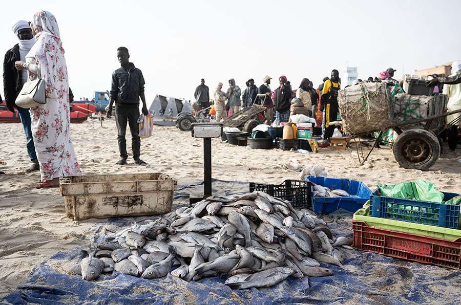 Mauritania