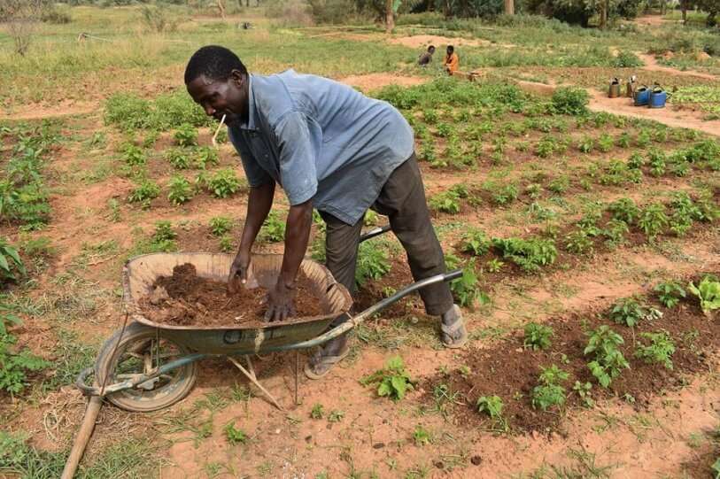 medio-ambiente-agricultura-níger-áfrica