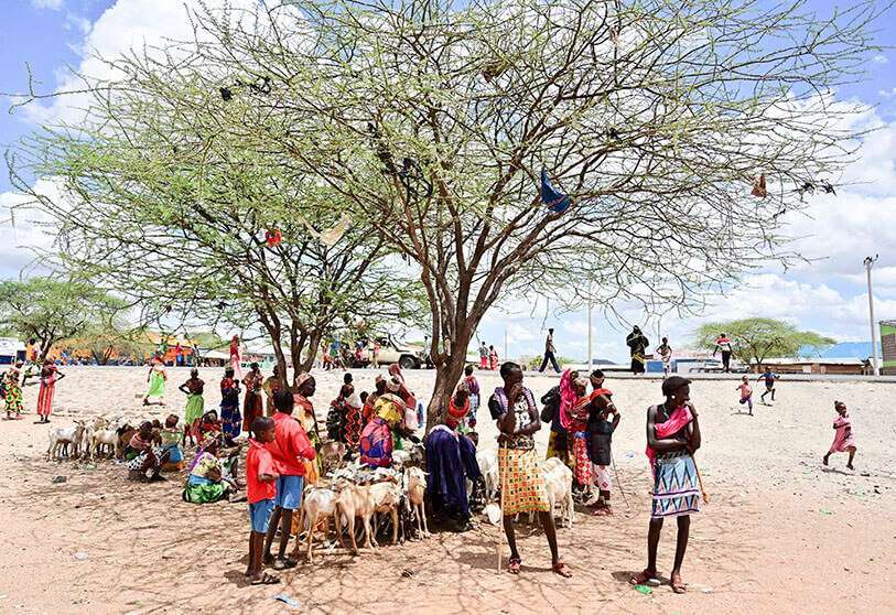 AFP/ TONY KARUMBA - Mercado de ganado de Merille, a unos 411 km al norte de Nairobi, en el condado de Marsabit, en Kenia
