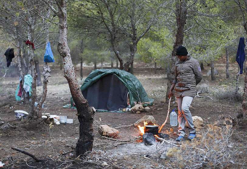 refugiados-marruecos-bosque