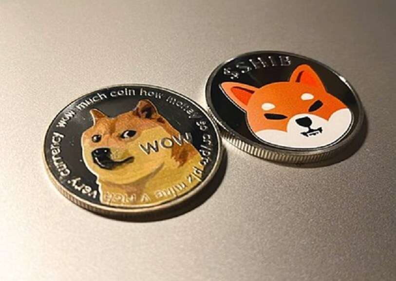 shiba-inu-dogetti-dogecoin